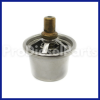 Thermostat Cummins Engines NH 855 Engine NT 855 (2)
