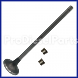 Intake Valve Kit Cummins Engine N14