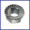 Heavy Hex Nut Engine Cummins NT855 855NT
