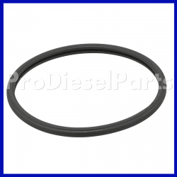 Thermostat Seal Cummins Engine