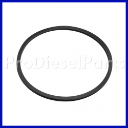 3028295 Rectangular Ring Seal Cummins Engine L10