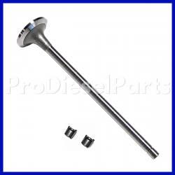 3800638 Kit Valve Intake Cummins Engine L10 M11 ISM QSM