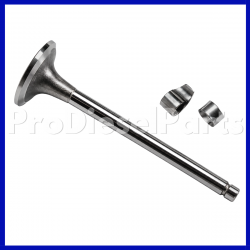 Kit Valve Intake Cummins Engine 6C 8.3 – Engine 6CT 8.3 – Engine 6CTA 8.3