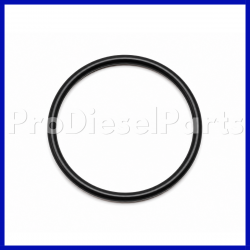 O Ring del Injector Sleeve Cummins Engine V8 504 & V8 555