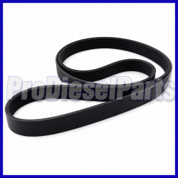 3972375 V ribbed Belt Cummins Engine 6C8.3, ISC8.3, QSC8.3 and selected B, ISB, ISF