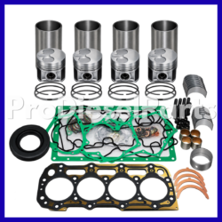 Overhaul Kit Cat Engine 3014