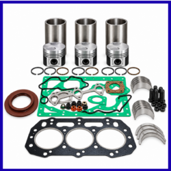 Engine Overhaul Kit